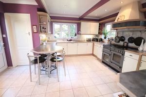 Photo 21- click for photo gallery